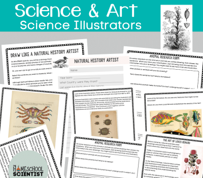 STEAM Activity – Be a Biology Illustrator