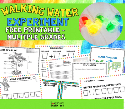 walking water experiment with worksheets