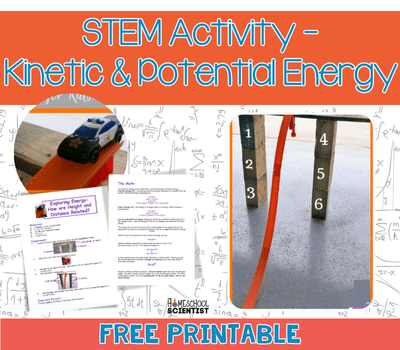 Potential and Kinetic Energy Activity