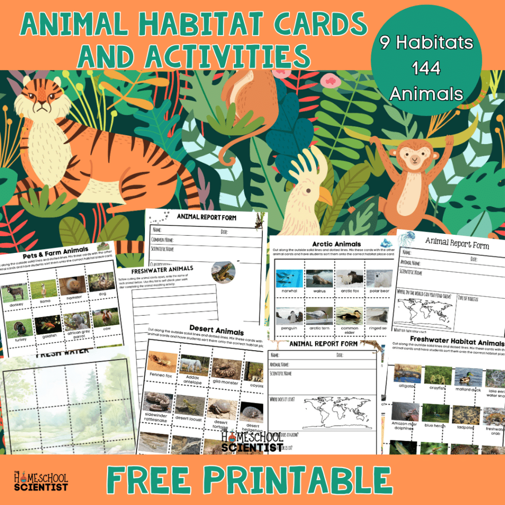 Animal habitat cards and printable for multiple grades