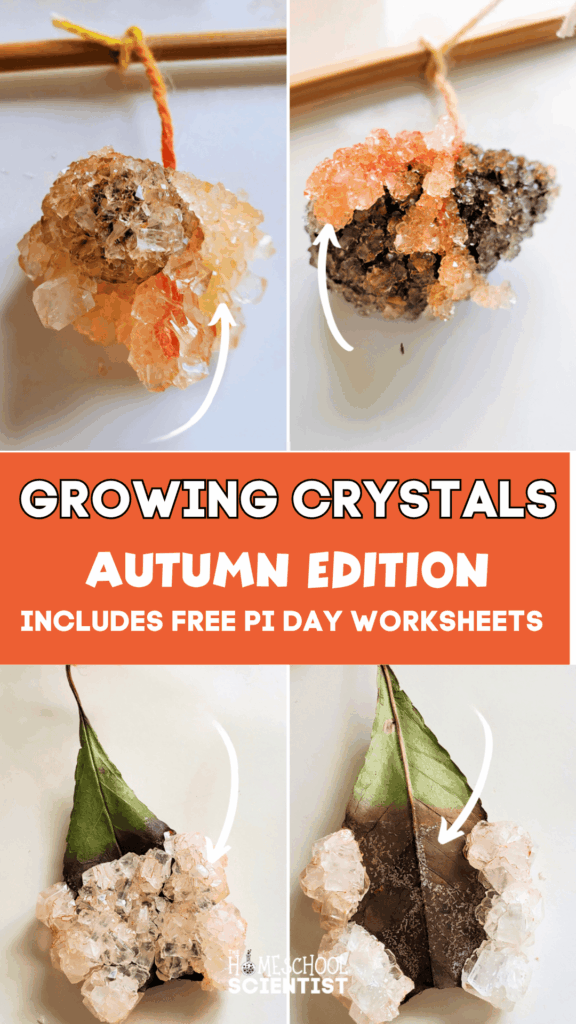 growing crystals autumn edition