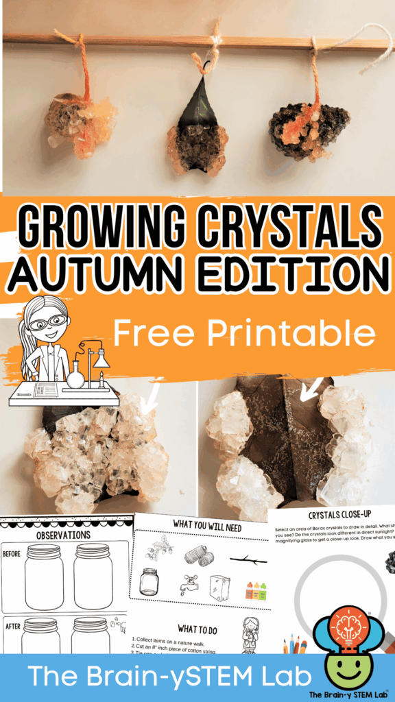 growing crystals fall science activity