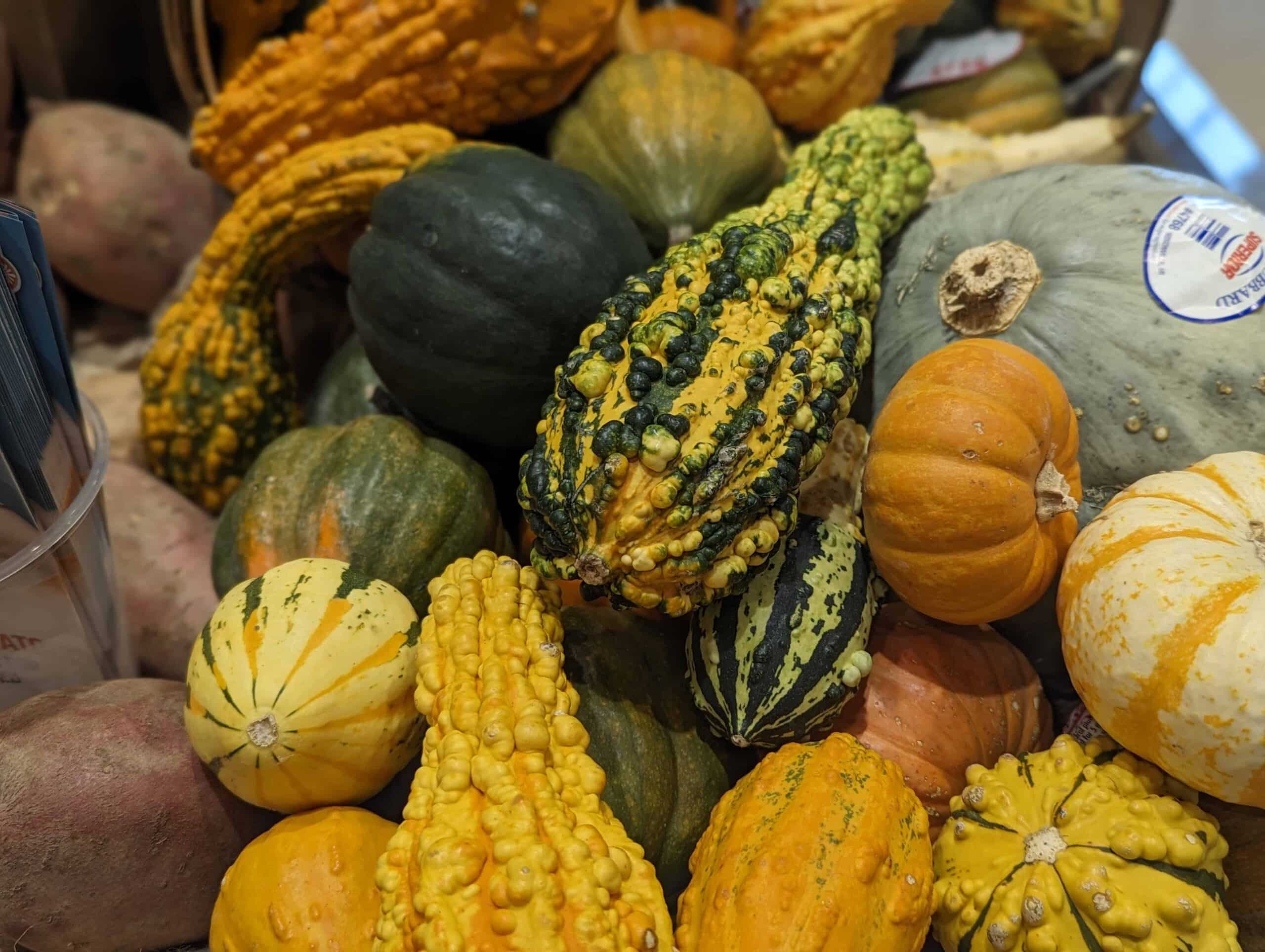 How to Make a Pumpkin Powered Clock The Homeschool Scientist
