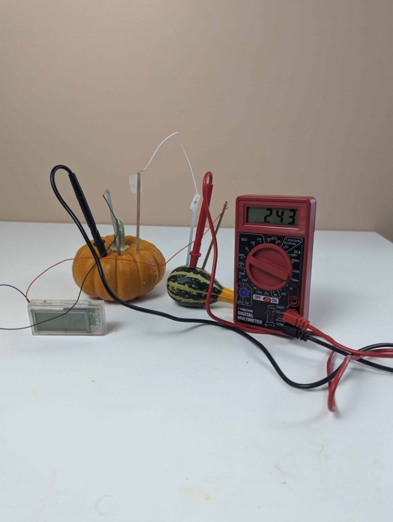 pumpkingourd