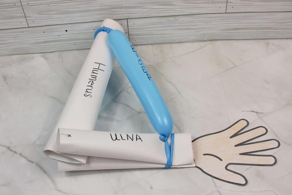 How to Make an Arm Model the finished project