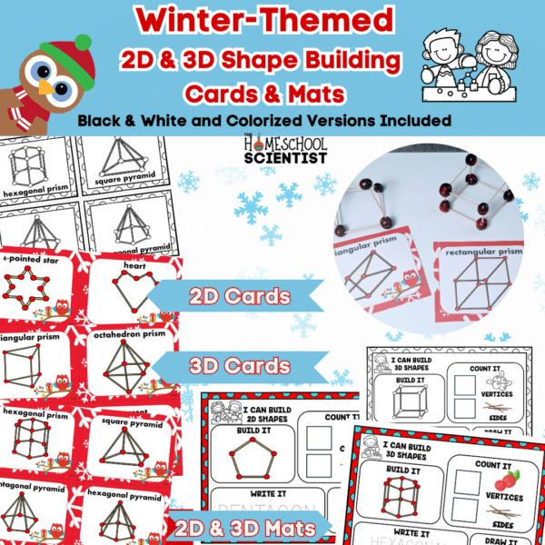 2D and 3D Geometry Activity Cards and Mats - Fun Themes - The ...