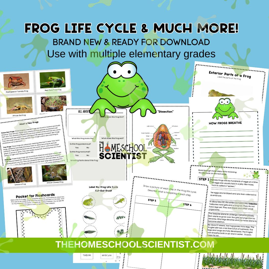 frog 1080