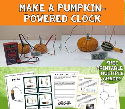 pumpkin powered clock