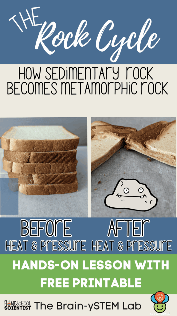 rock cycle activities and rock cycle explained