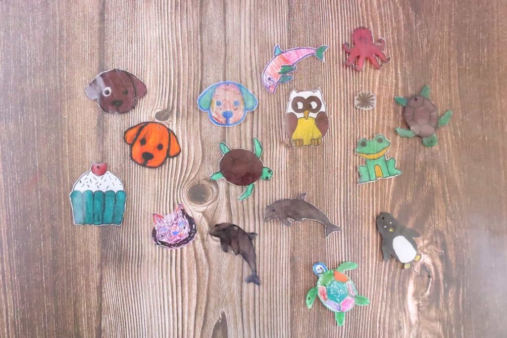 shrinkydink11