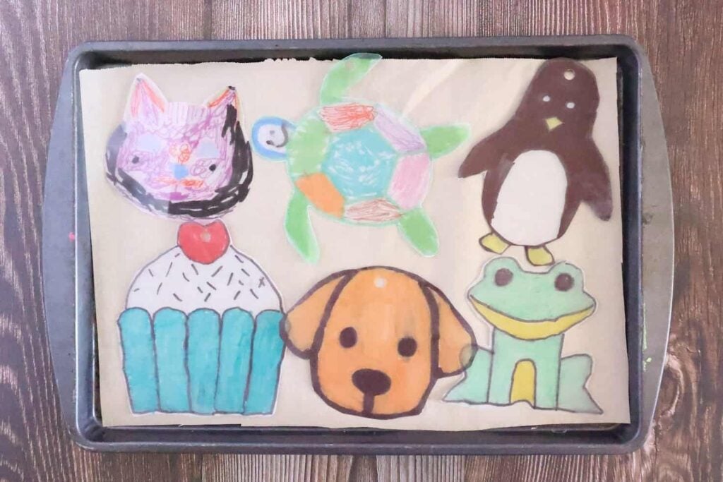shrinkydink8