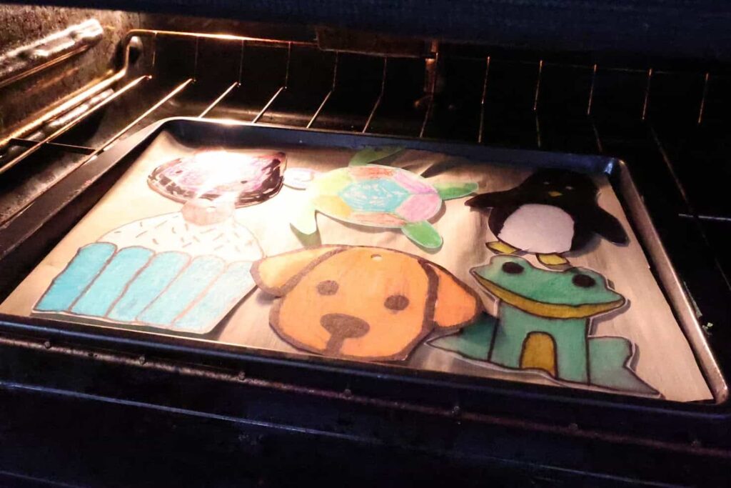 shrinkydink9