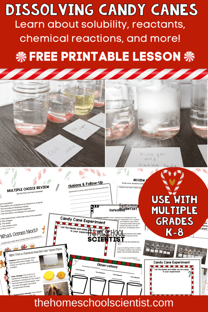 Dissolving Candy Canes Experiment and Worksheets The Homeschool Scientist