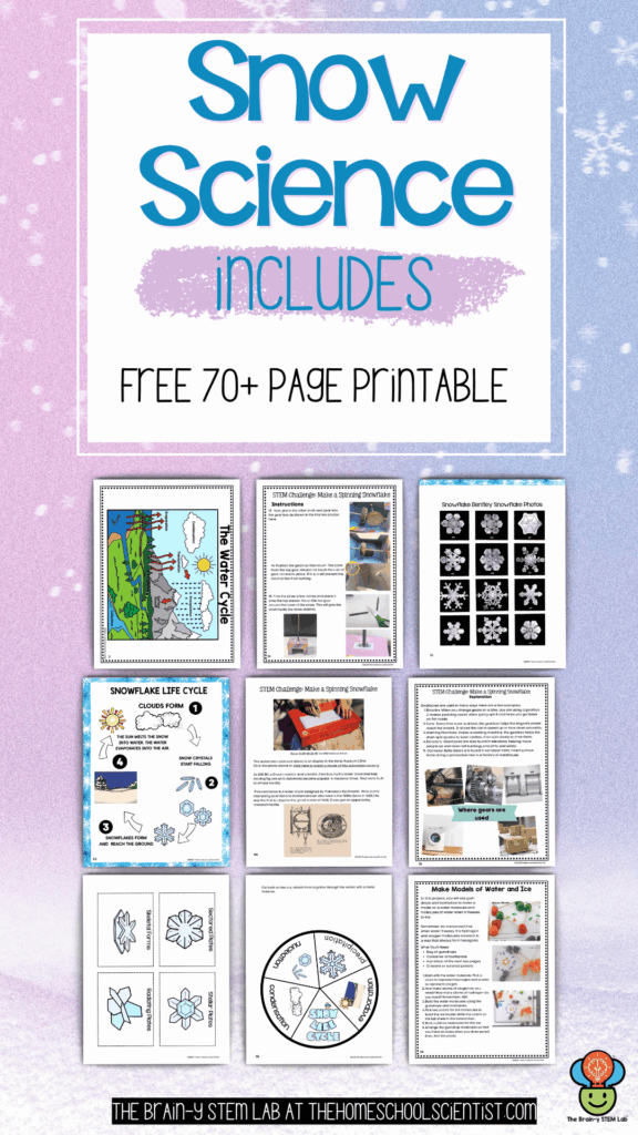 snow science unit with printable lesson