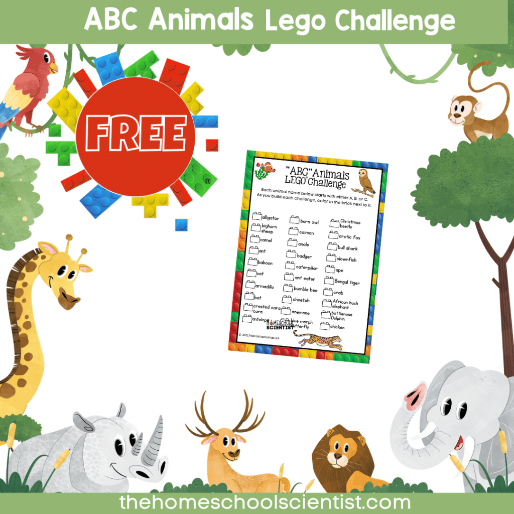 ABC ANimals lego challenge post image the house