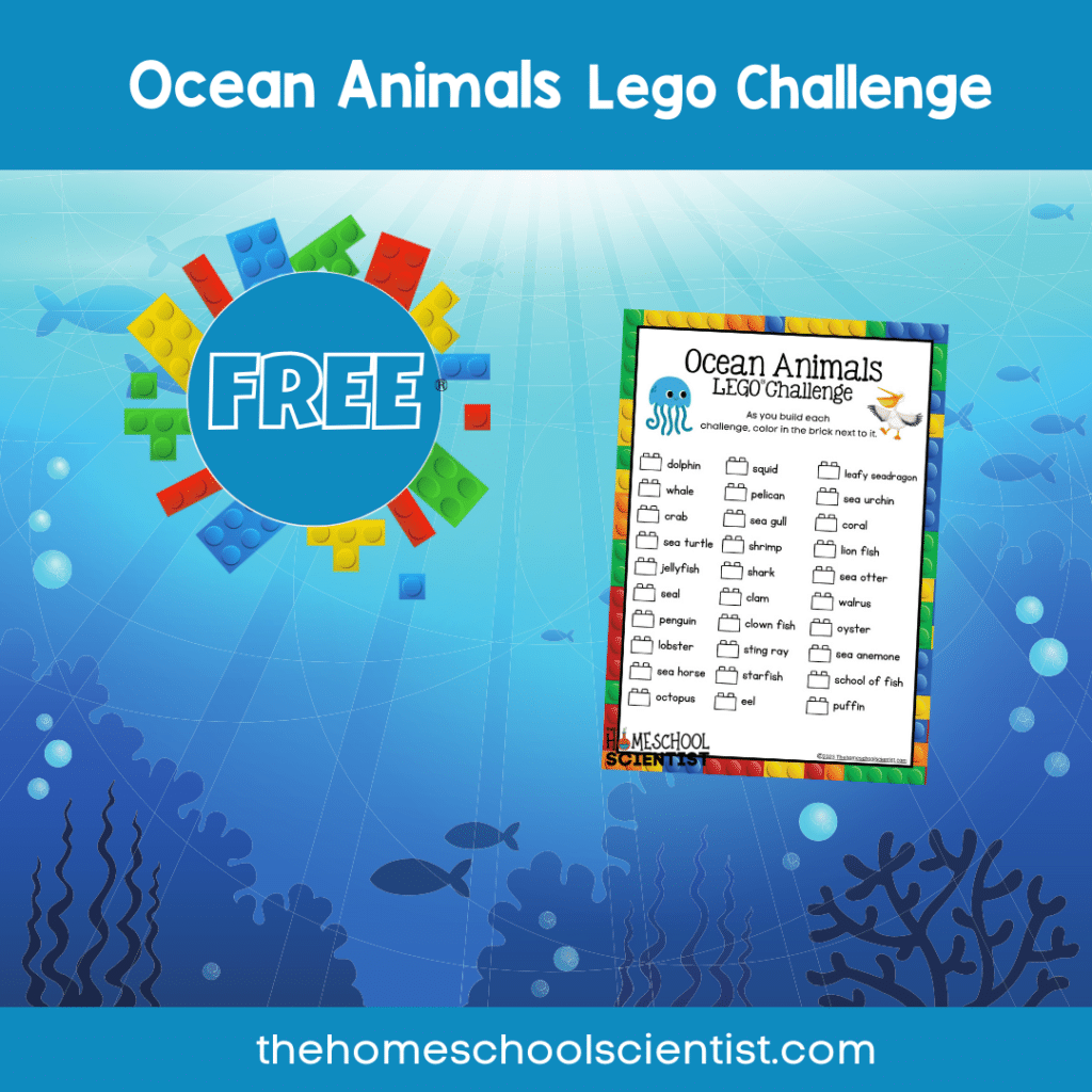 Ocean animals post image the house