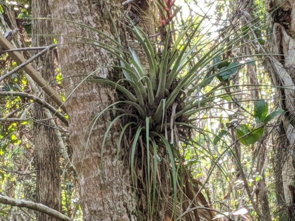 00000IMG 00000 BURST20200130153252115 COVER