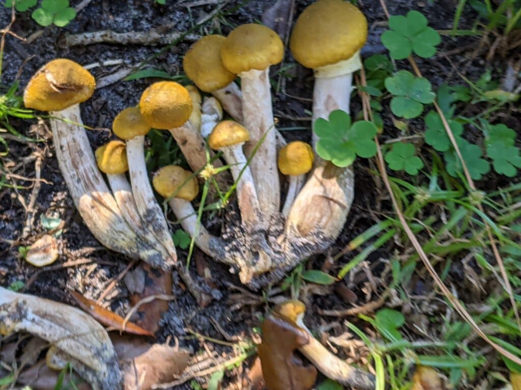 PXL 20211031 190903444