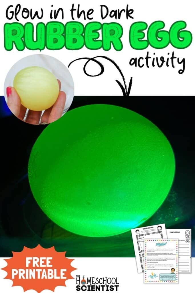 Glow in the dark egg experiment and activity