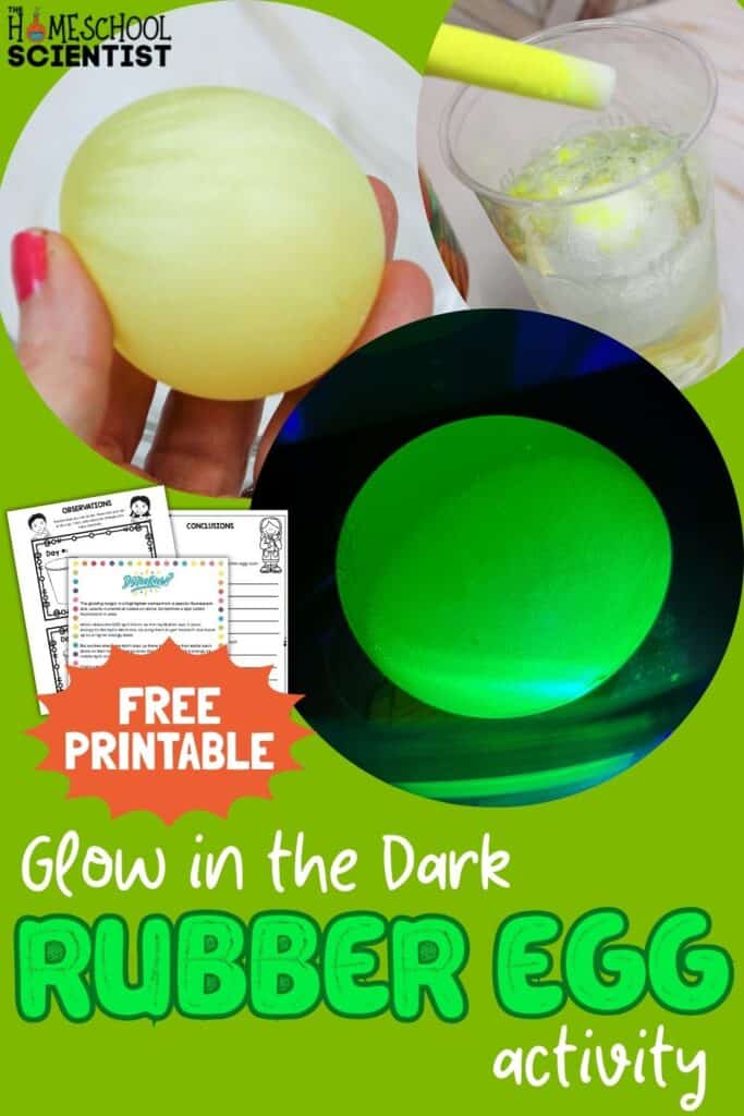 Glow in the dark egg experiment and activity