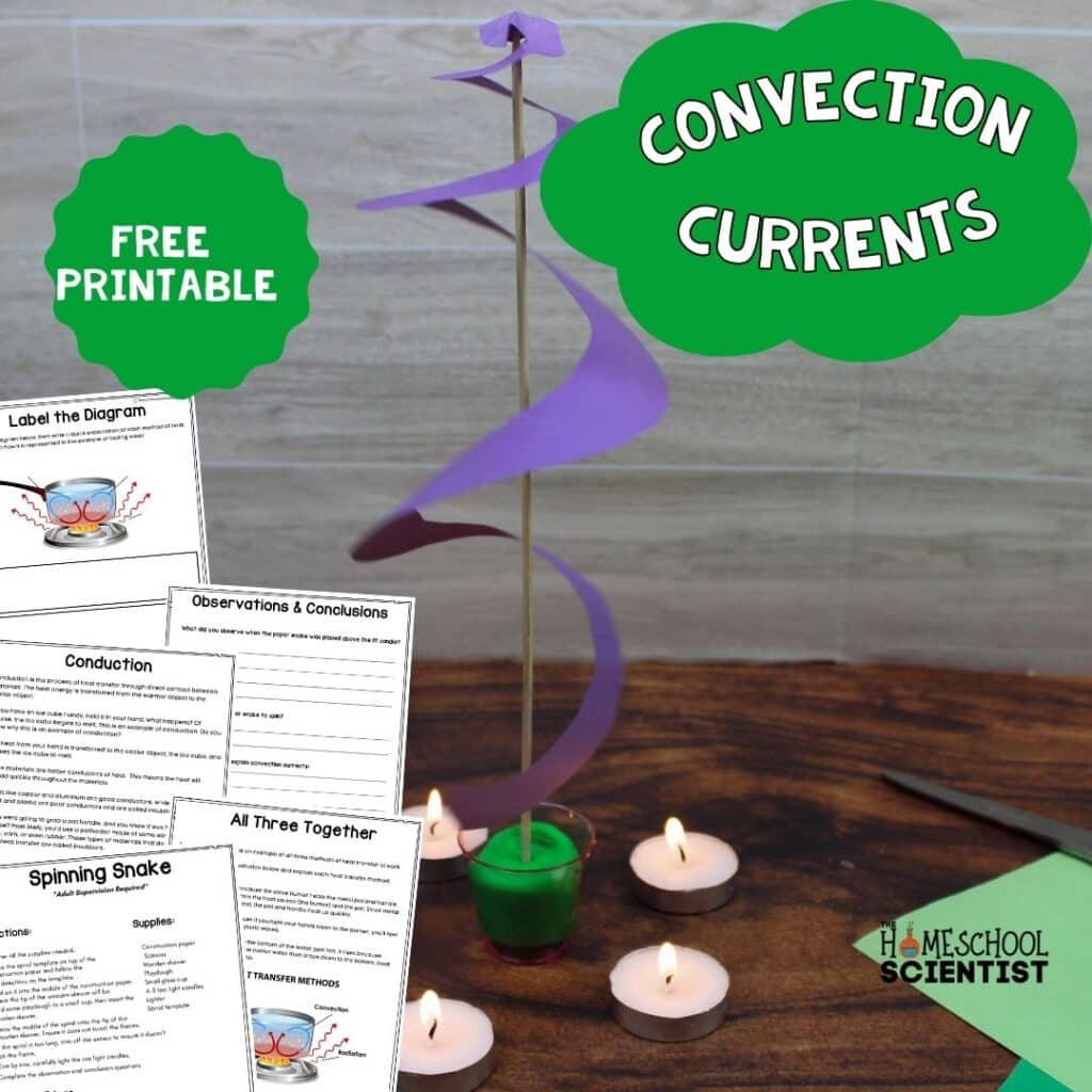 convection current experiment