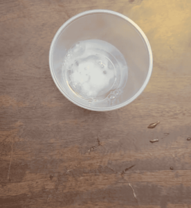 Extracting DNA from a banana