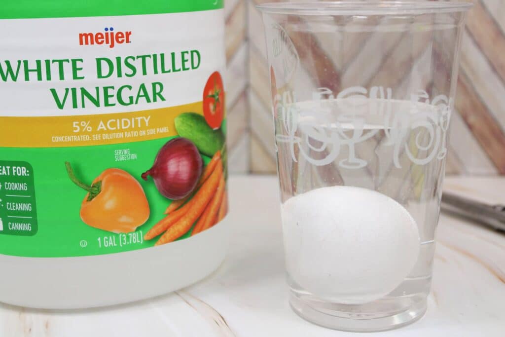 egginvinegar 1