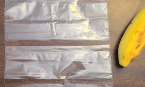 extracting DNA from a banana place a piece of banana in the plastic bag