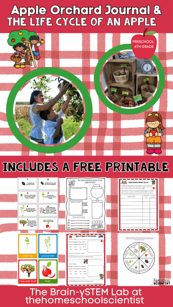 apple orchard notebooking pages