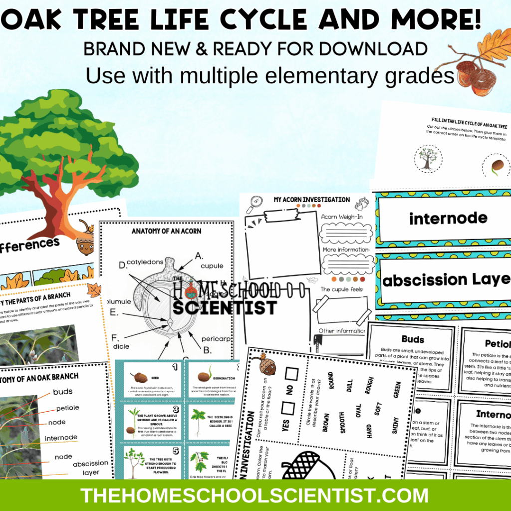 FREE Homeschool Science Printables - The Homeschool Scientist
