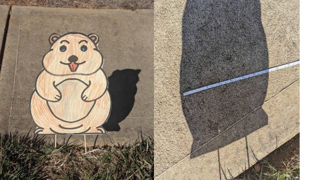 groundhog day