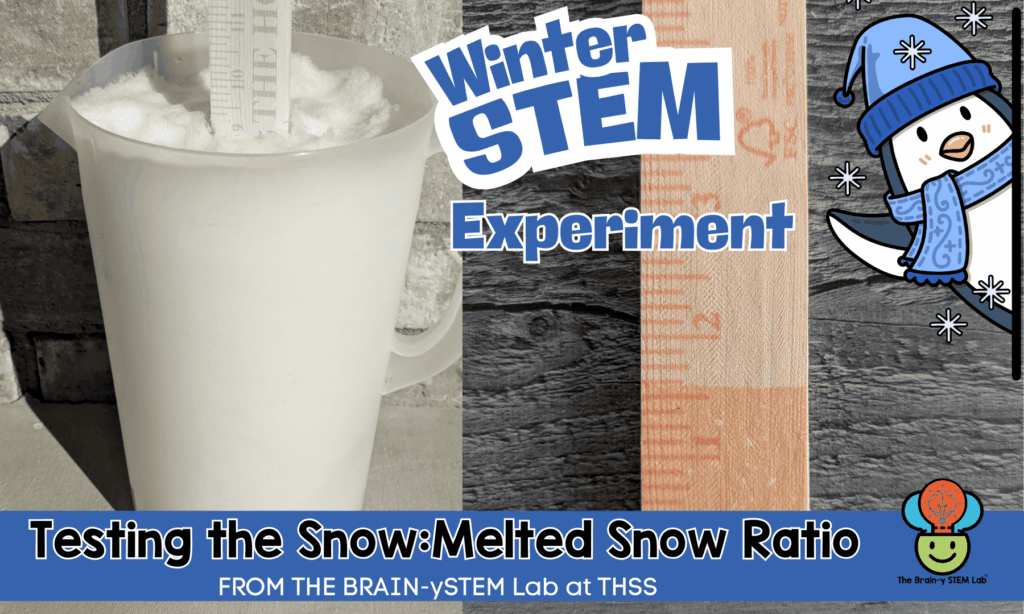 testingmeltedsnow ACTIVITIES 1 1