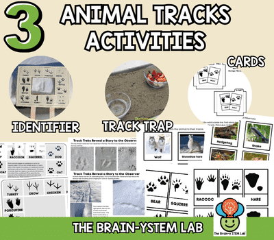ANIMAL TRACKS ACTIVITIES BLOG POST 1
