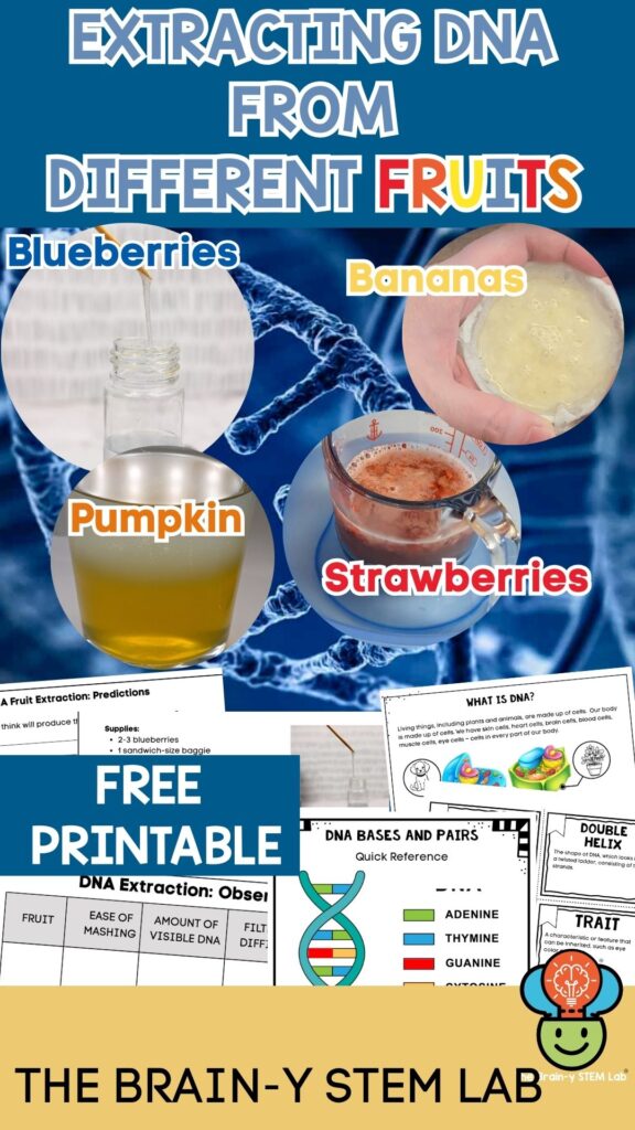 extracting DNA from fruits