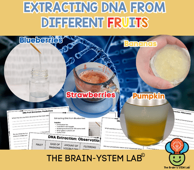 extracting DNA from fruits