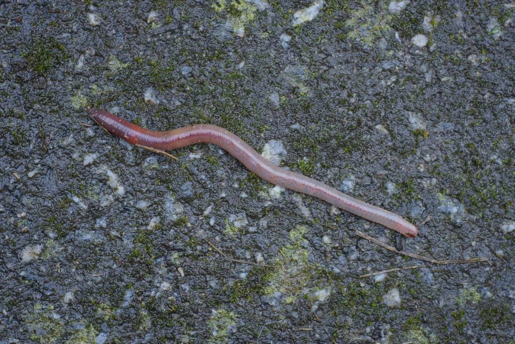 Depositphotos 654914894 L 1