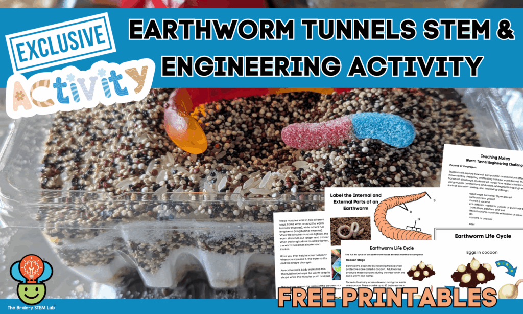 EARTHWORM STEM BIG IMAGE 2 1