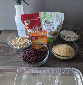 earthworm STEM activity ingredients