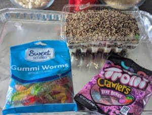 earthworm STEM activity gummies used