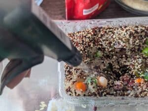 earthworm STEM activity use 12 to 15 pumps