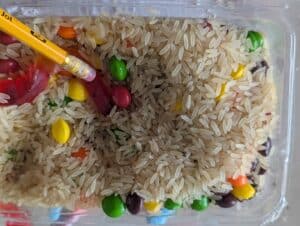 earthworm STEM activity pressing the worm down in the soil to make a tunnel