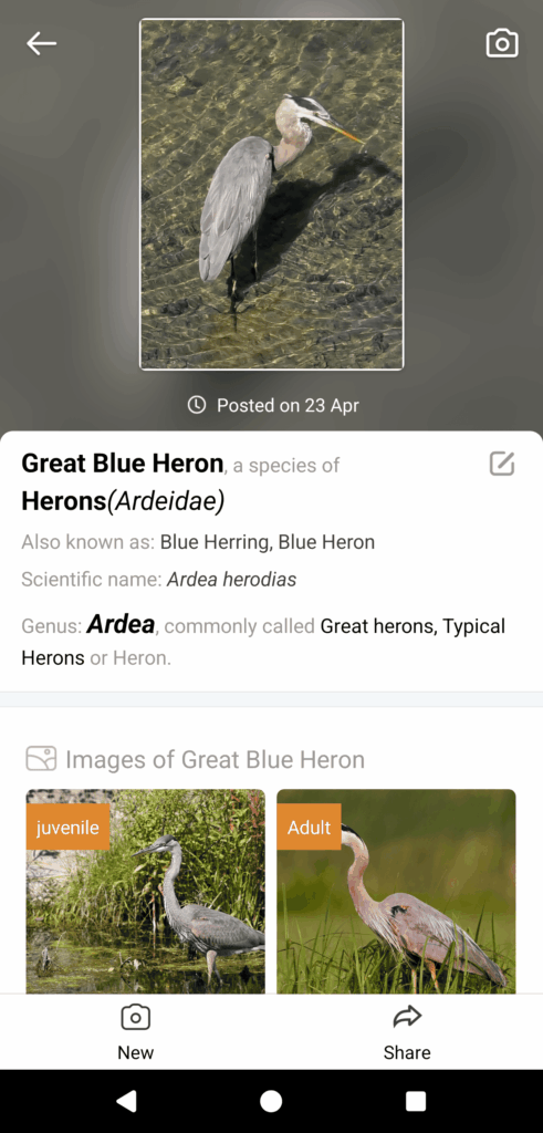 Screenshot 20260423 135333