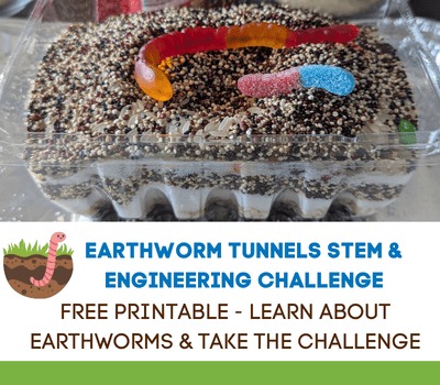 earthworm STEM activity
