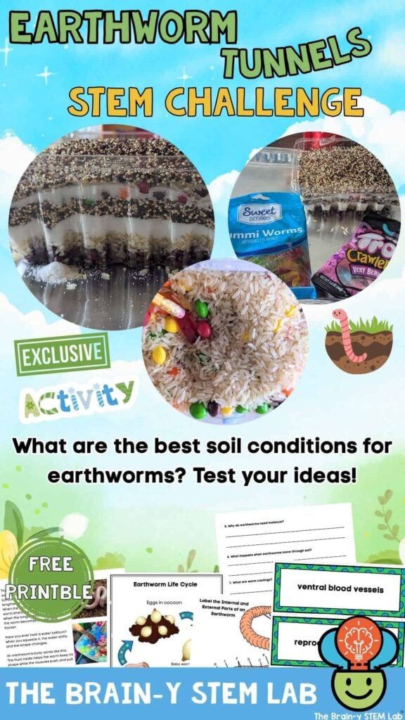 earthworm STEM activity