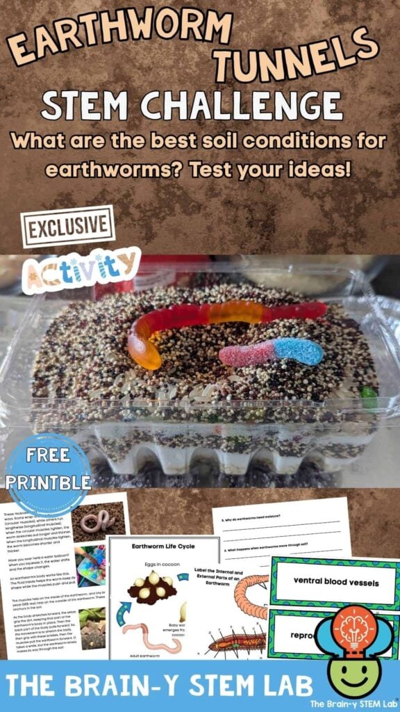 earthworm STEM activity