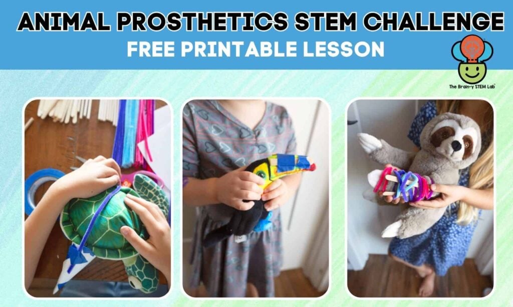 animal prosthetics activity for kids