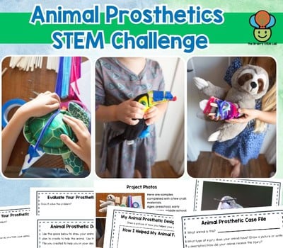 animal prosthetics activity for kids