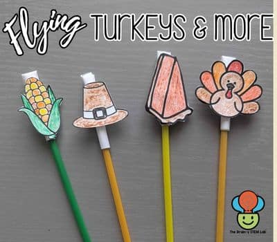 flying turkeys stem activity blog post art